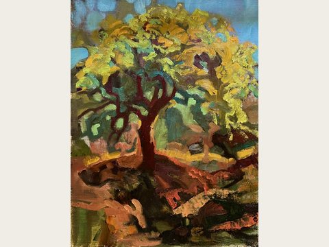 Morning Tree, Santa Fe — Oil on linen