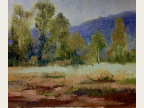 Ojai Trees and Mountains — Oil on canvas